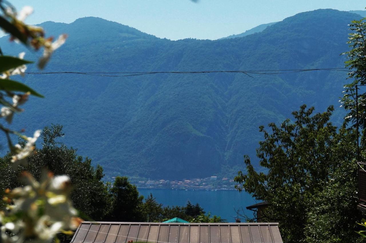 La Dimora Del Viandante - Como Lake Mandello del Lario Exteriör bild